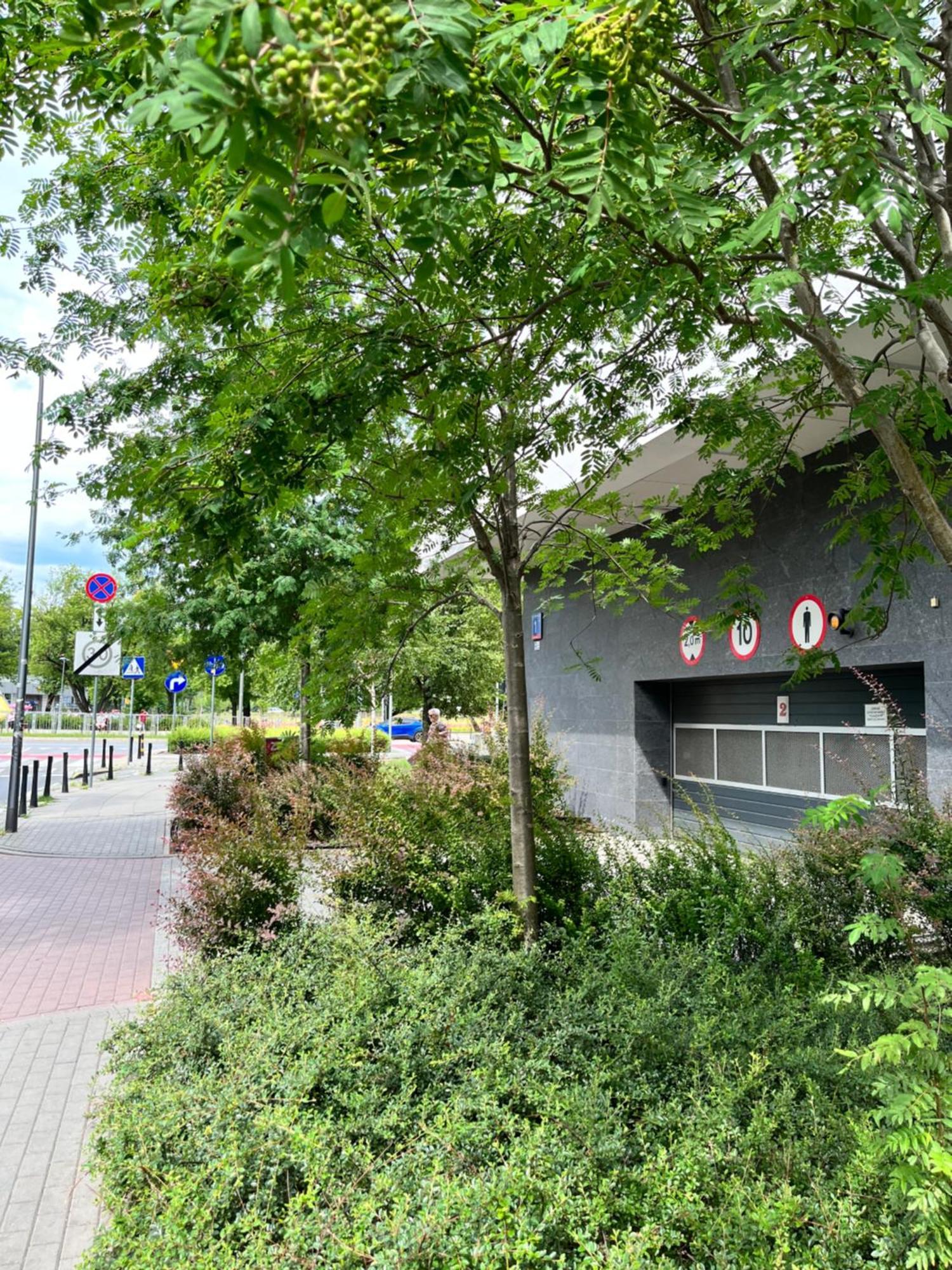 Apartment Metro Slodowiec Free Parking Βαρσοβία Εξωτερικό φωτογραφία